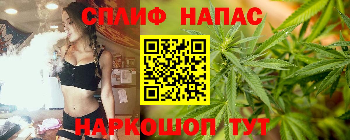Канабис Amnesia  Бошки Шишки конопля  Конопля ГИДРОПОН  Каменск-Шахтинский  Вход с VPN 